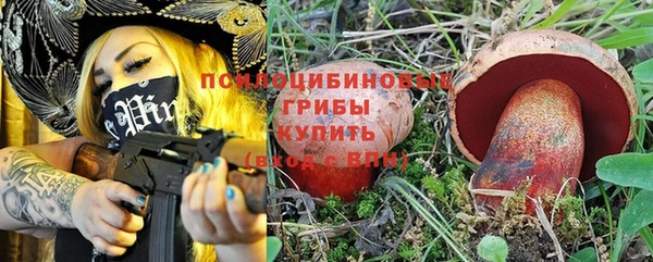 крисы Медногорск