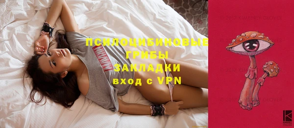 шишки Медвежьегорск