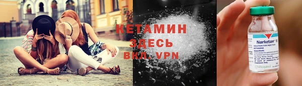 шишки Медвежьегорск