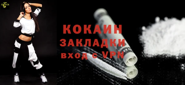 шишки Медвежьегорск