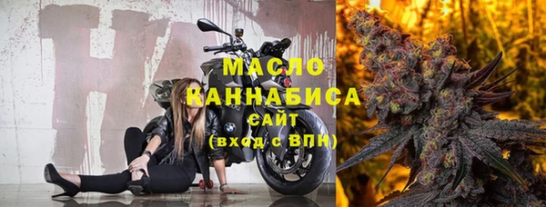 шишки Медвежьегорск