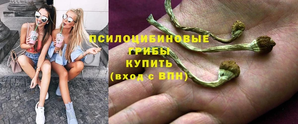 шишки Медвежьегорск