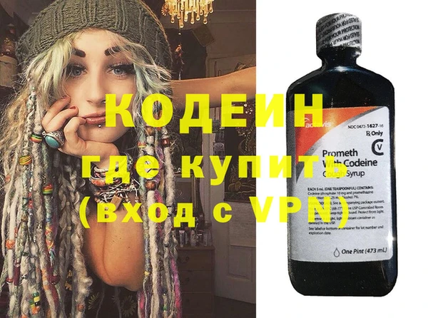 шишки Медвежьегорск