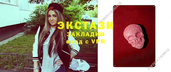 шишки Медвежьегорск
