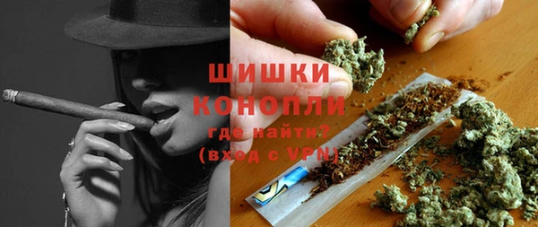 крисы Медногорск