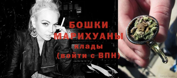 шишки Медвежьегорск